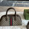 Modern Style Trendy Bag G4003