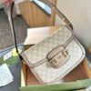 Modern Style Trendy Bag G4007.1
