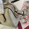 Modern Style Trendy Bag G4021