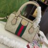 Modern Style Trendy Bag G4021