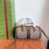 Modern Style Trendy Bag G4022 Modern Style Trendy Bag G4022