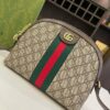 Modern Style Trendy Bag G4025