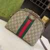 Modern Style Trendy Bag G4025