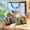 Modern Style Trendy Bag G4029