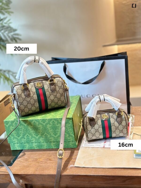 Modern Style Trendy Bag G4029