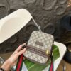 Modern Style Trendy Bag G4026