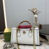 Modern Style Trendy GG Handbag G437.1