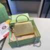 Modern Style Trendy GG Handbag G435.1