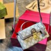 Modern Style Trendy GG Handbag G321