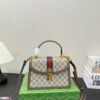 Modern Style Trendy Bag G3995.1
