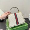 Modern Style Trendy Bag G3995.1
