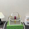 Modern Style Trendy Bag G3995.1