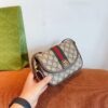 Modern Style Trendy Bag G3984