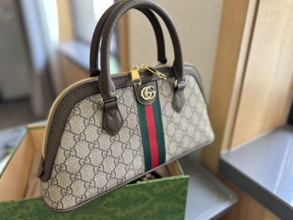 Modern Style Trendy Bag G3976