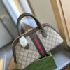Modern Style Trendy Bag G3976