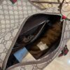 Modern Style Trendy GG Handbag 417