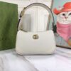 Modern Style Trendy GG Handbag 380