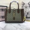 Modern Style Trendy GG Handbag 367