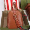 Modern Style Trendy GG Handbag 336