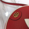 Modern Style Trendy GG Handbag 324