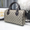 Modern Style Trendy GG Handbag 322