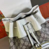 Modern Style Trendy GG Handbag 315