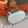 Modern Style Trendy GG Handbag 315