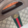 Modern Style Trendy GG Handbag 308