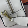 Modern Style Trendy GG Handbag 307