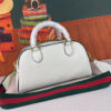 Modern Style Trendy GG Handbag 307