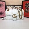 Modern Style Trendy GG Handbag 32