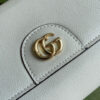 Modern Style Trendy GG Handbag 300