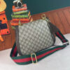 Modern Style Trendy GG Handbag 294