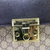 Modern Style Trendy GG Handbag 275