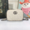 Modern Style Trendy GG Handbag 269