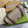 Modern Style Trendy GG Handbag 261