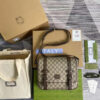 Modern Style Trendy GG Handbag 261
