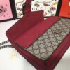 Modern Style Trendy GG Handbag 27