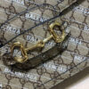 Modern Style Trendy GG Handbag 256
