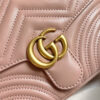 Modern Style Trendy GG Handbag 254