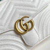 Modern Style Trendy GG Handbag 254