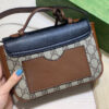 Modern Style Trendy GG Handbag 253