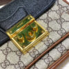 Modern Style Trendy GG Handbag 253