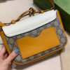 Modern Style Trendy GG Handbag 253