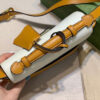 Modern Style Trendy GG Handbag 253