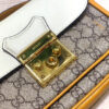 Modern Style Trendy GG Handbag 253