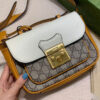 Modern Style Trendy GG Handbag 253