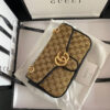 Modern Style Trendy GG Handbag 248