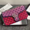 Modern Style Trendy GG Handbag 247 Modern Style Trendy GG Handbag 247
