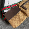 Modern Style Trendy GG Handbag 245
